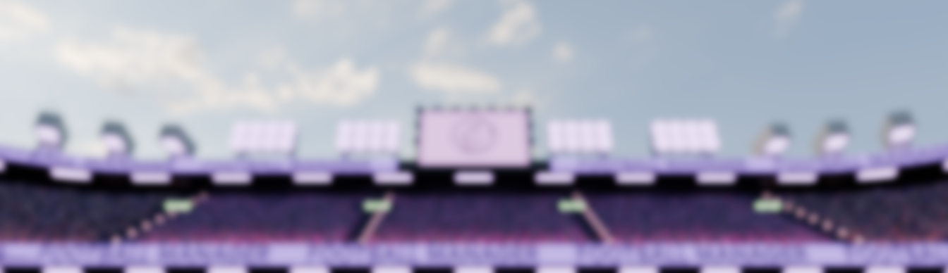 An image of a football pitch background